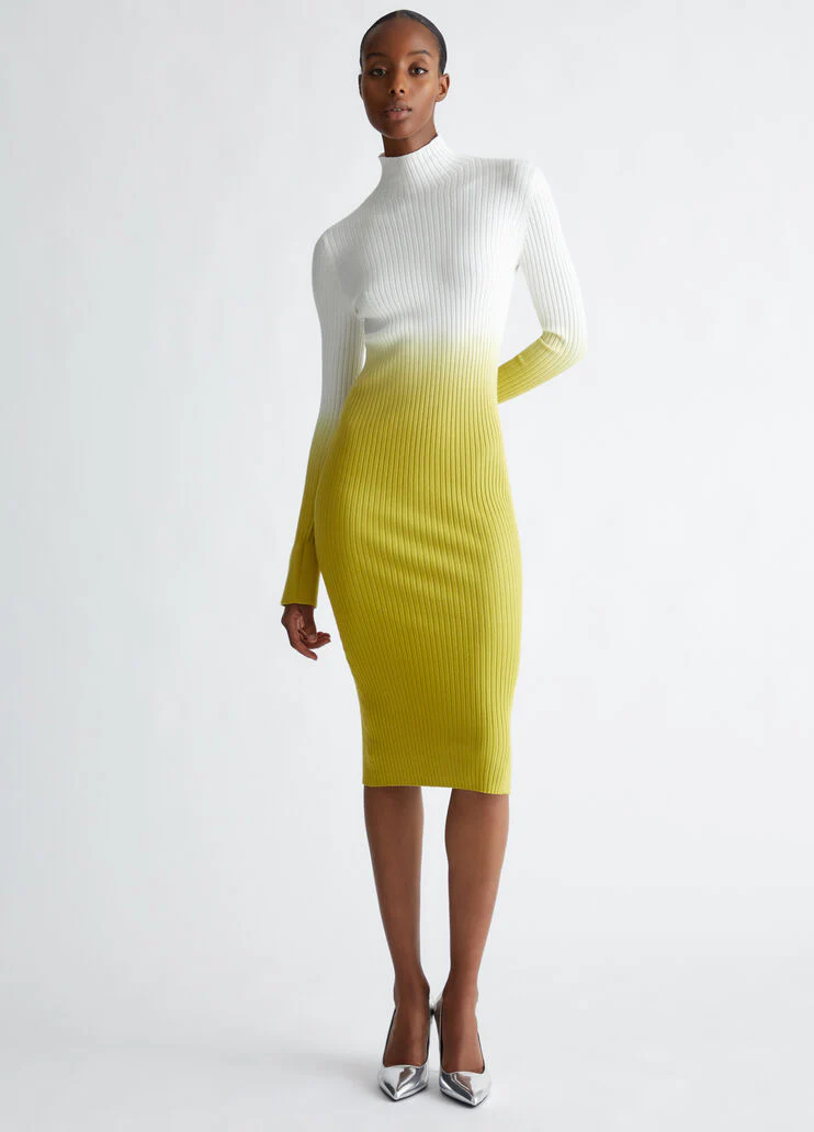 Ombre knit dress
