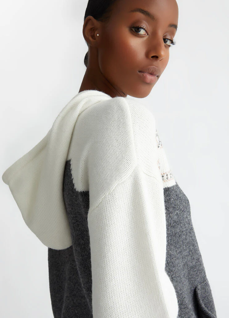 Wool-blend sweater with hood