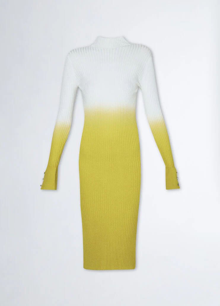 Ombre knit dress