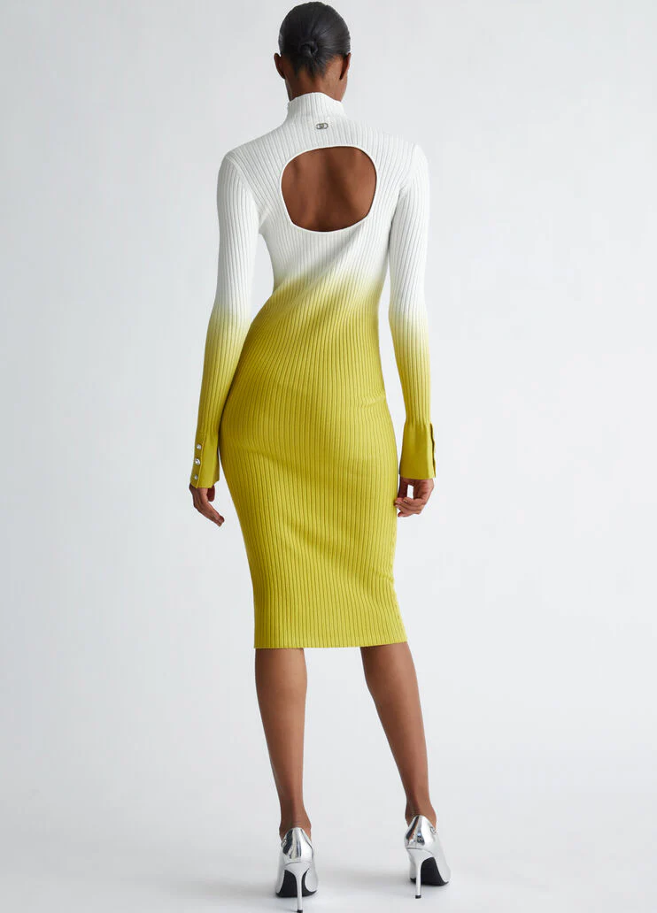 Ombre knit dress