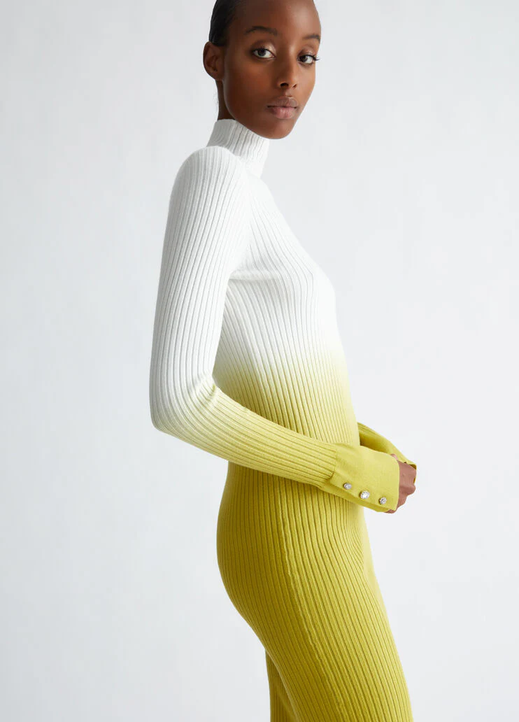 Ombre knit dress