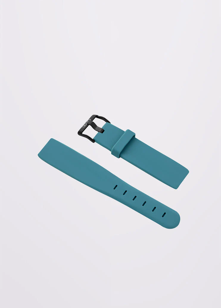 Smartwatch strap