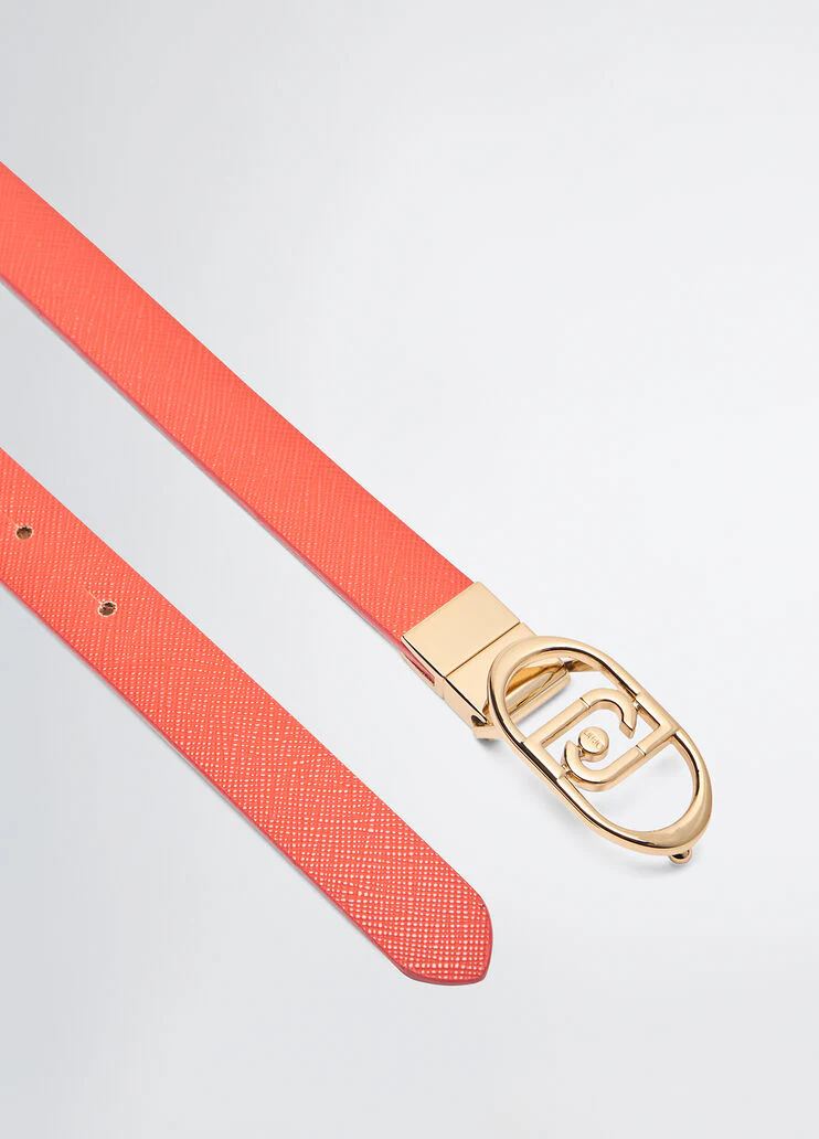 Reversible belt