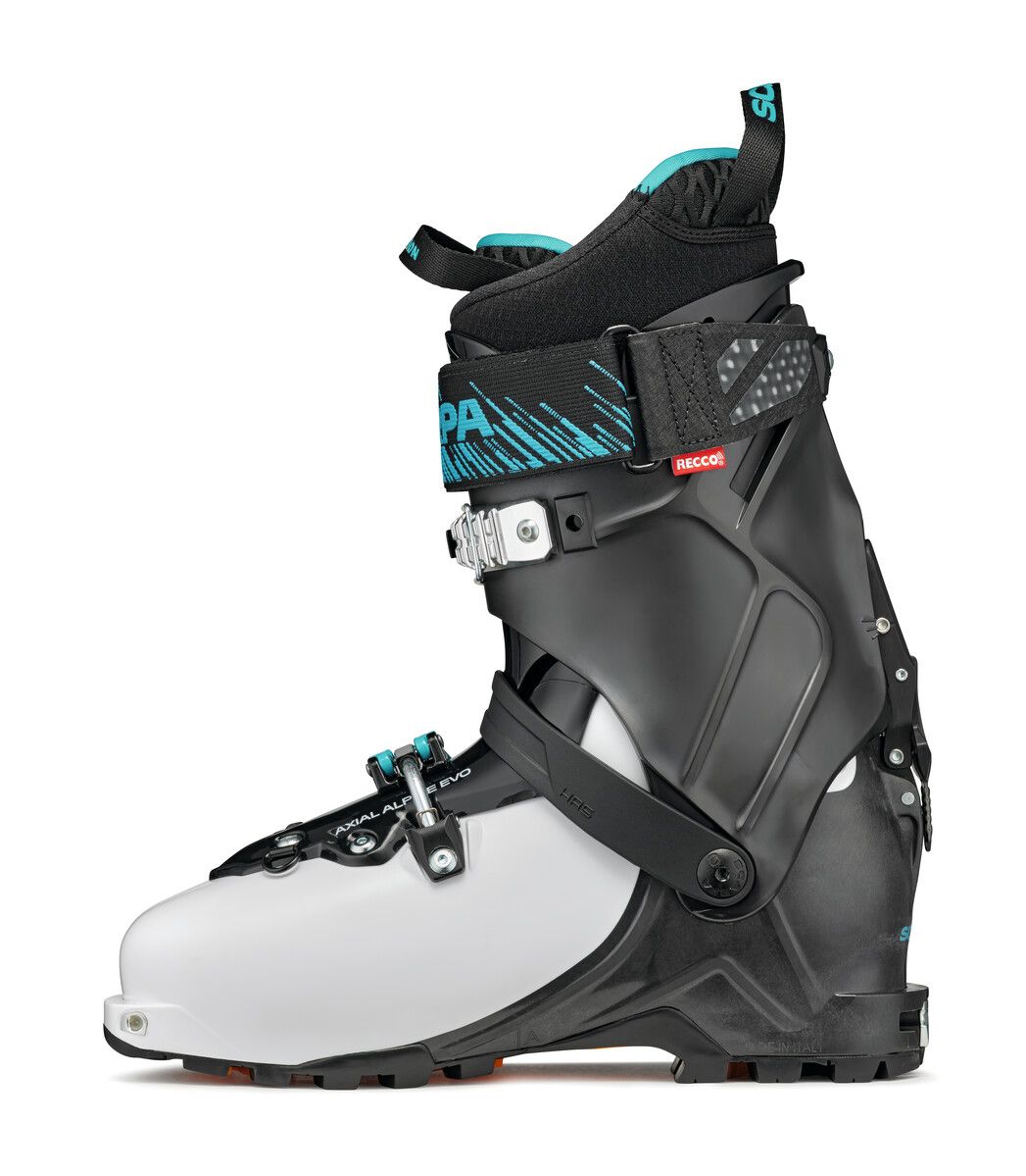 MAESTRALE RS (FALL 2021)