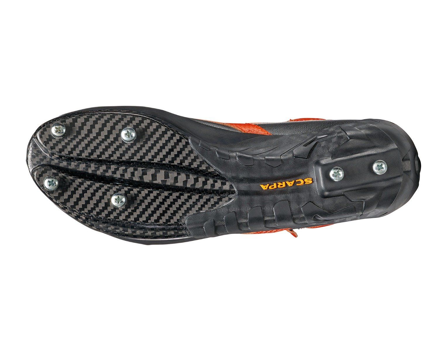 REBEL ICE (SPRING 2023)