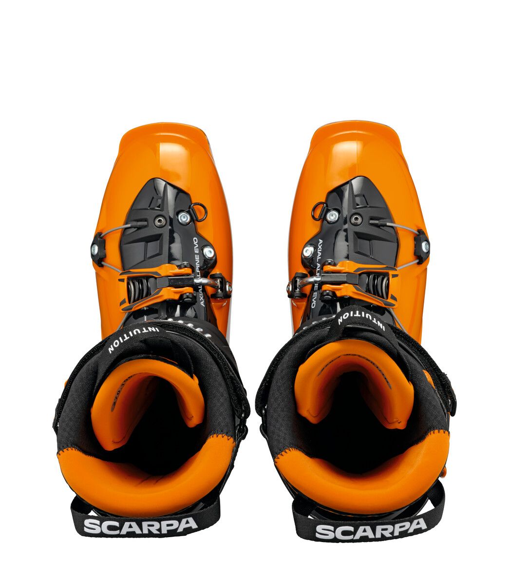 MAESTRALE (FALL 2021)