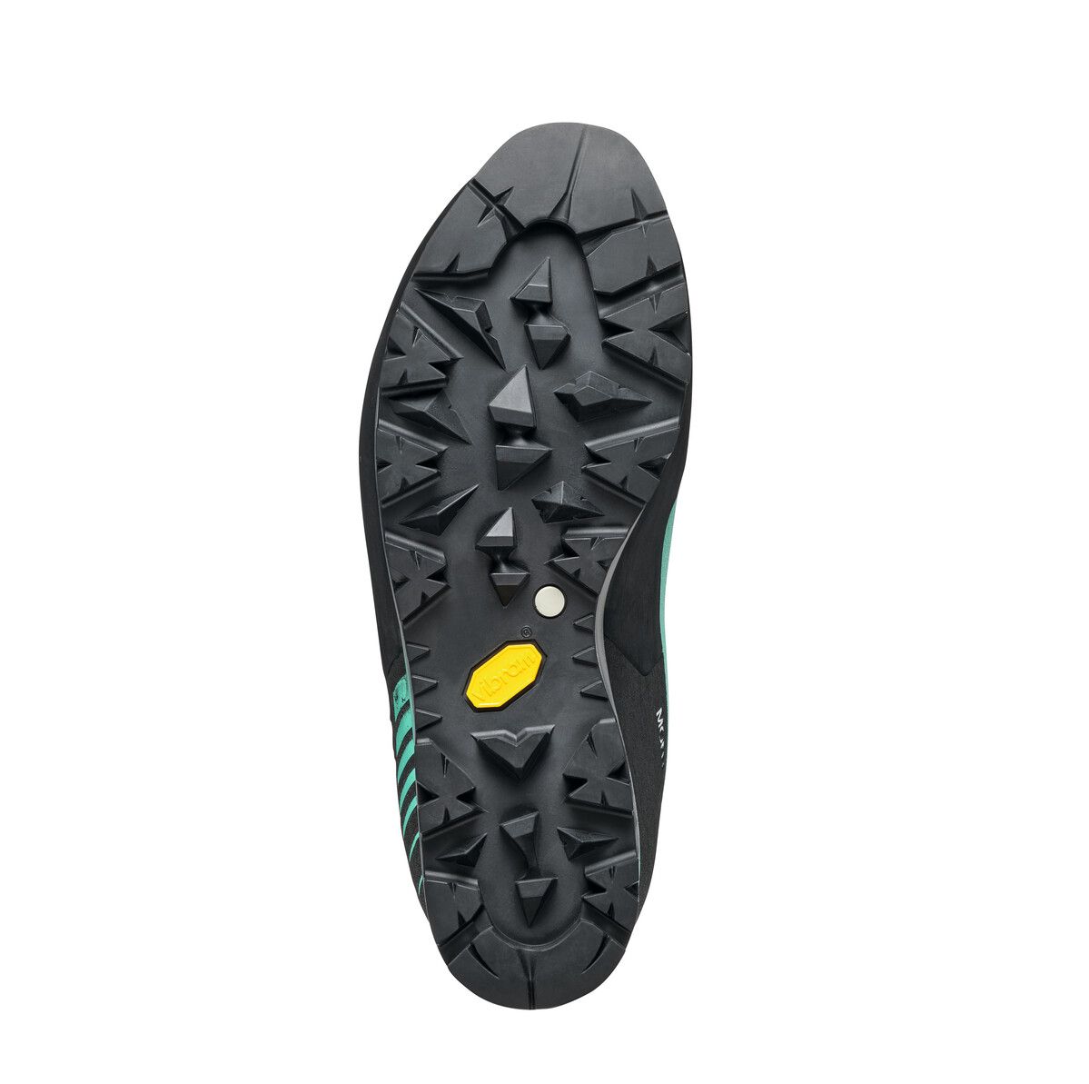 MONT BLANC PRO GTX WOMEN'S