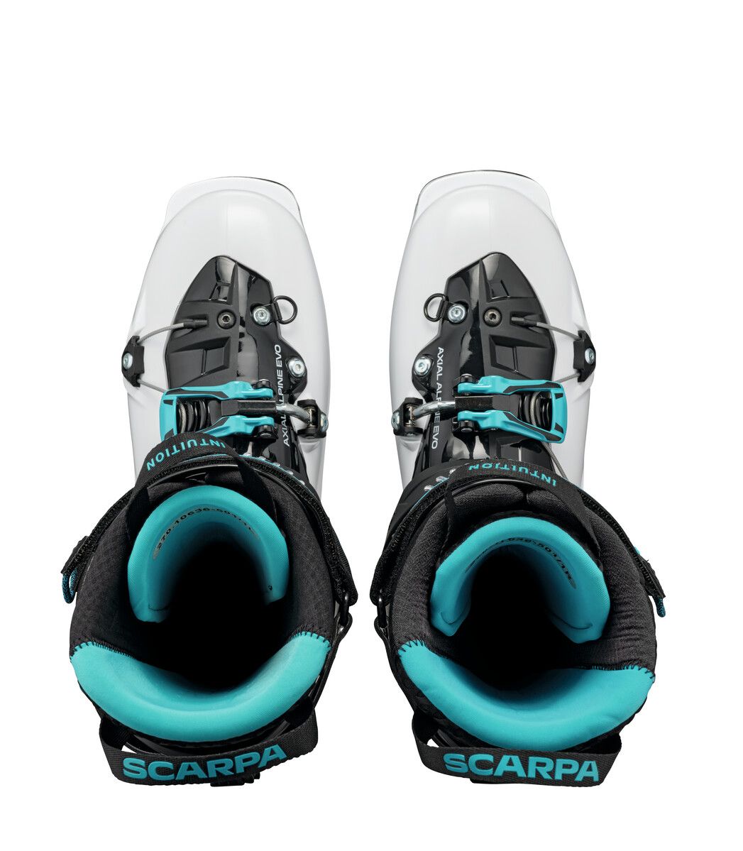 MAESTRALE RS (FALL 2021)