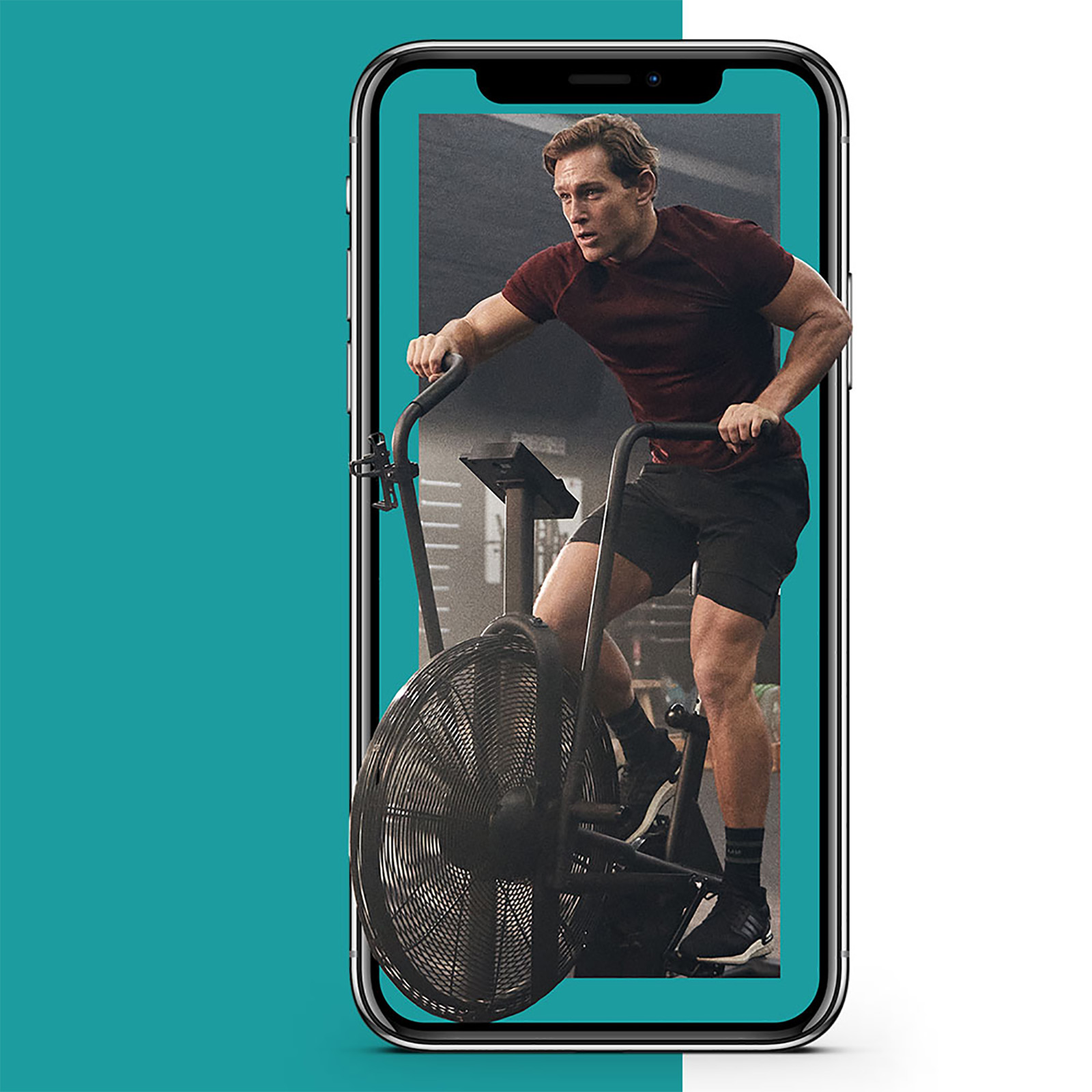 The Weight-Loss Guide