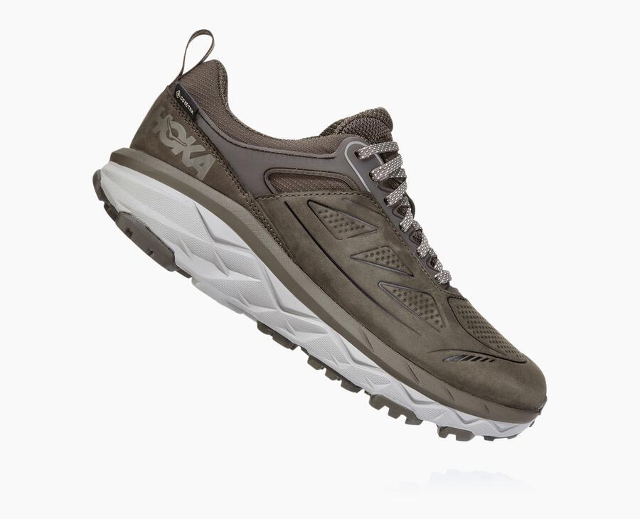 Women's Challenger Low GORE-TEX