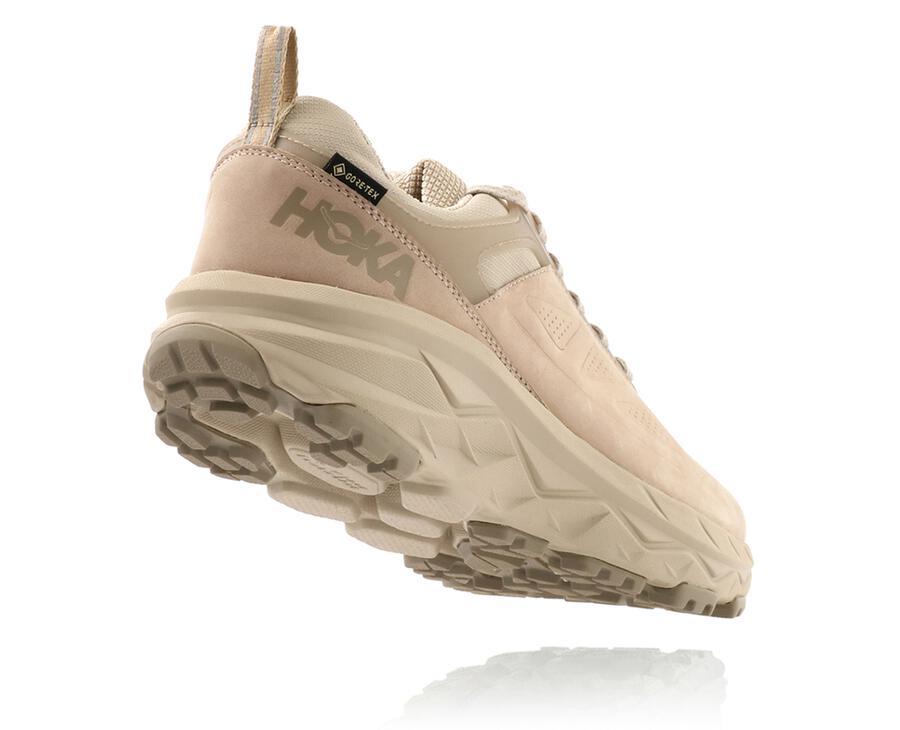 Men's Challenger Low GORE-TEX