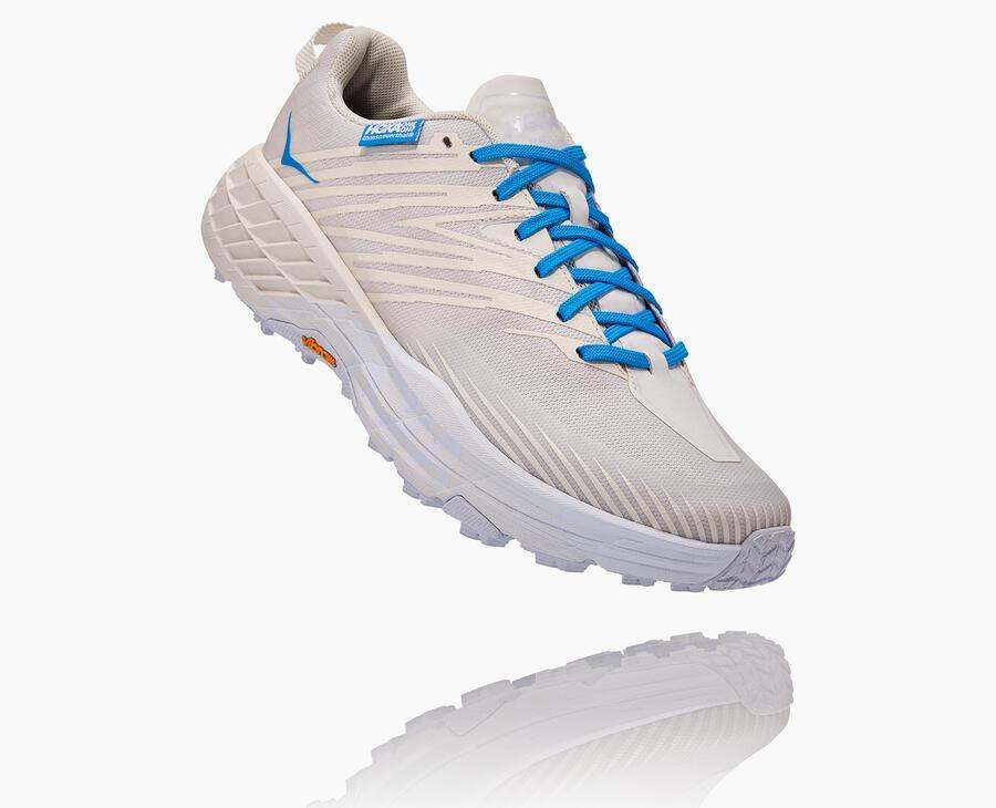 All Gender Hoka X Tint Speedgoat 4