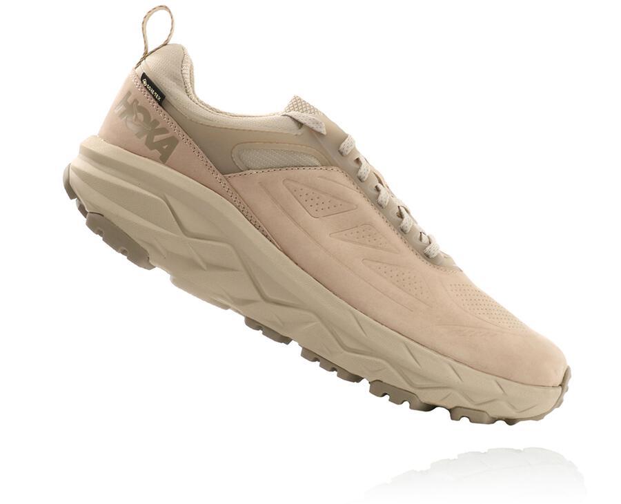 Men's Challenger Low GORE-TEX