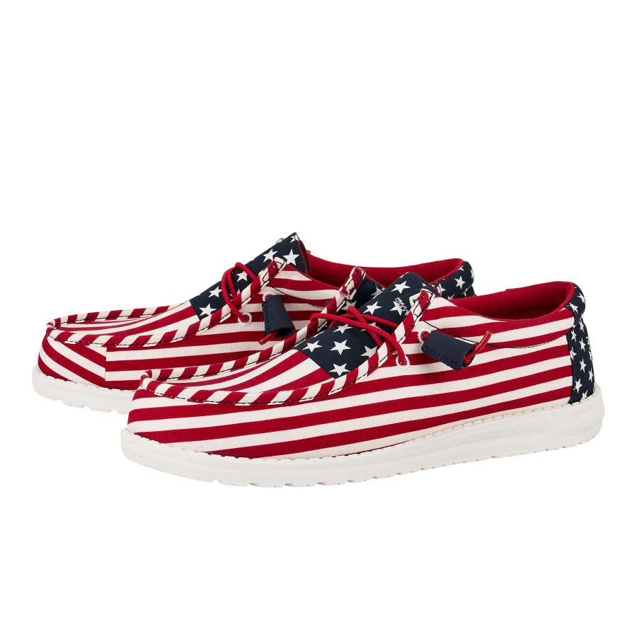 Wally Americana - American Flag