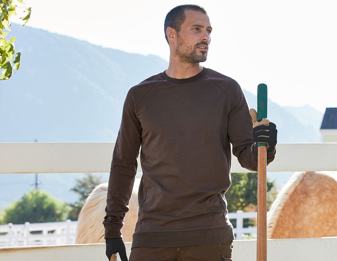 e.s. Sweatshirt cotton stretch