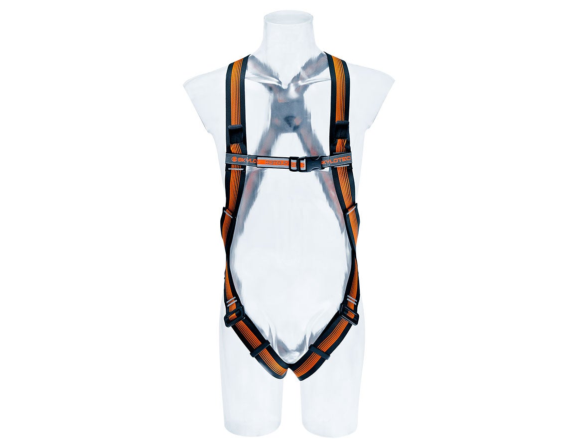 Skylotec Auffanggurt Basic