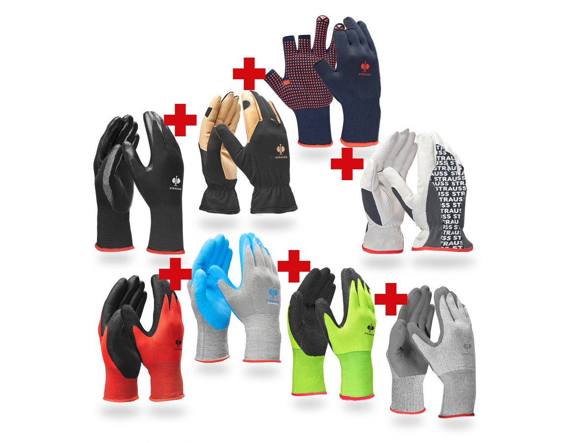 Handschuh-Profi Set Installation