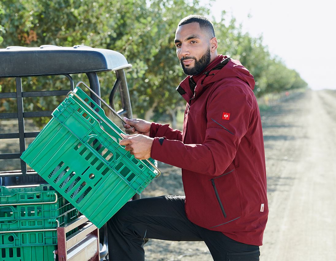 3 in 1 Funktionsjacke e.s.vision, Herren