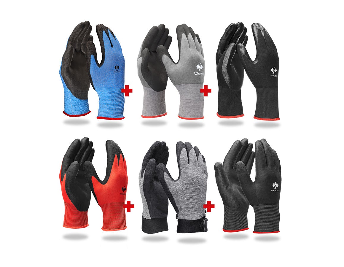 Handschuh-Profi-Set KFZ