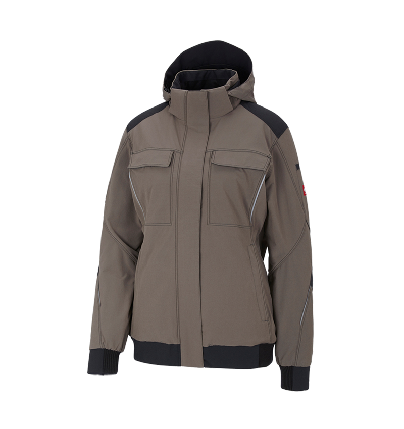 Winter Funktions Jacke e.s.dynashield, Damen