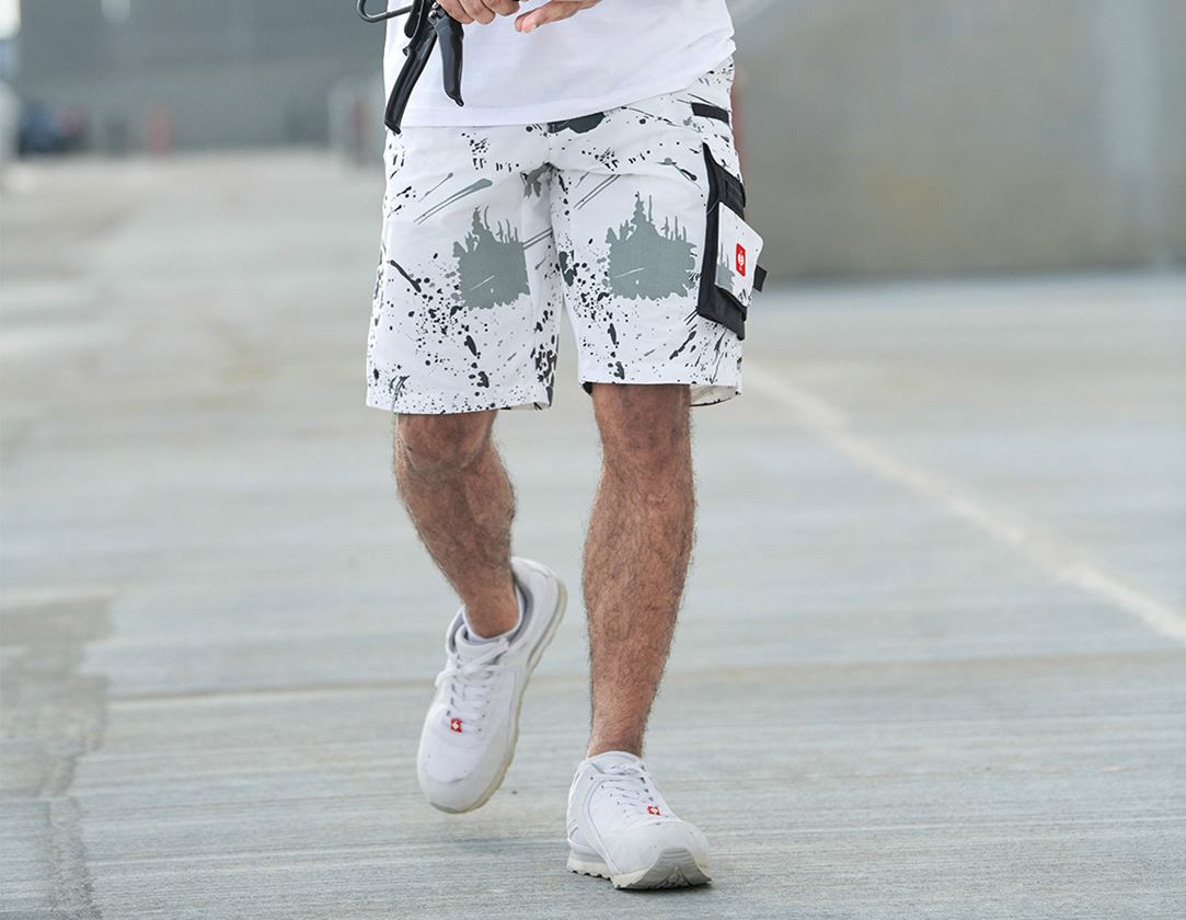 e.s. Shorts Painter