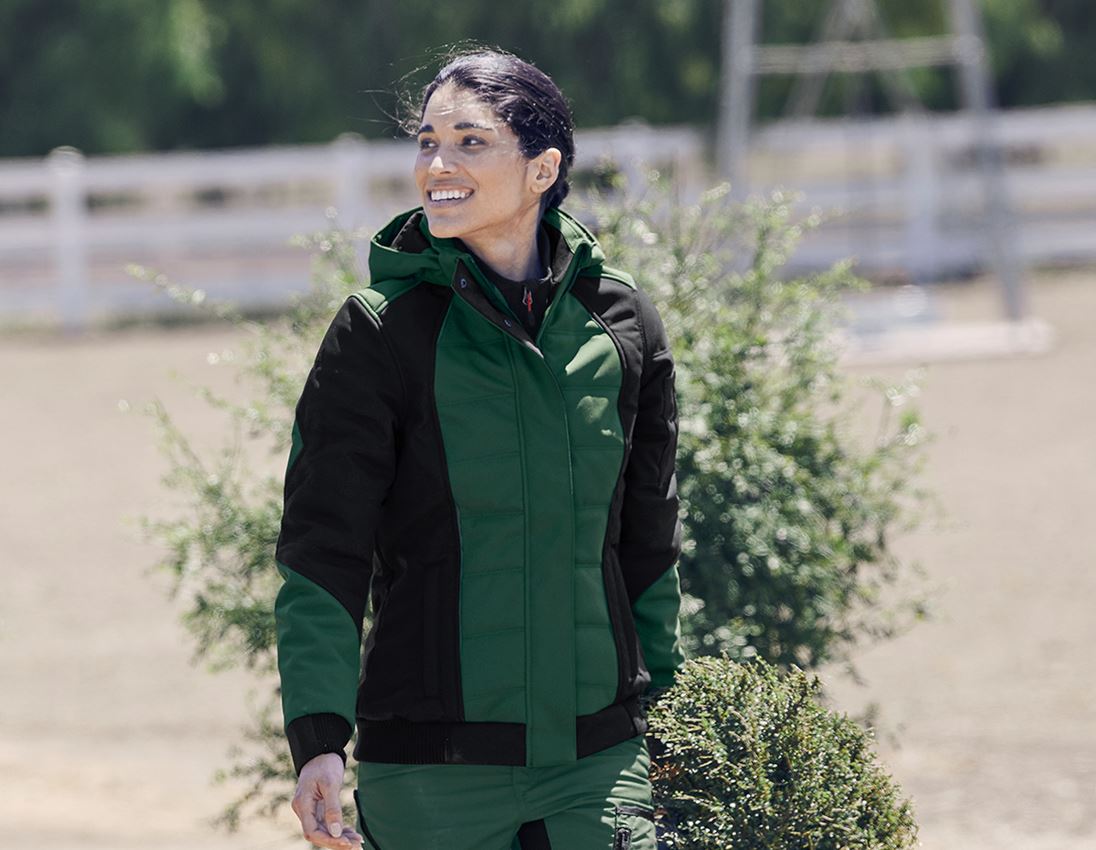 Winter Softshelljacke e.s.vision, Damen