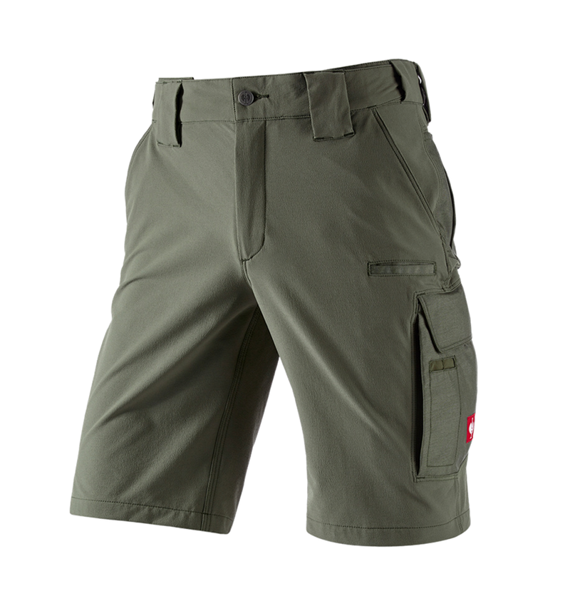Funktions Short e.s.dynashield solid