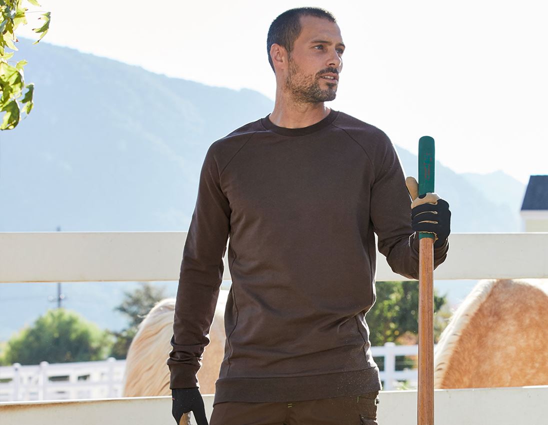 e.s. Sweatshirt cotton stretch