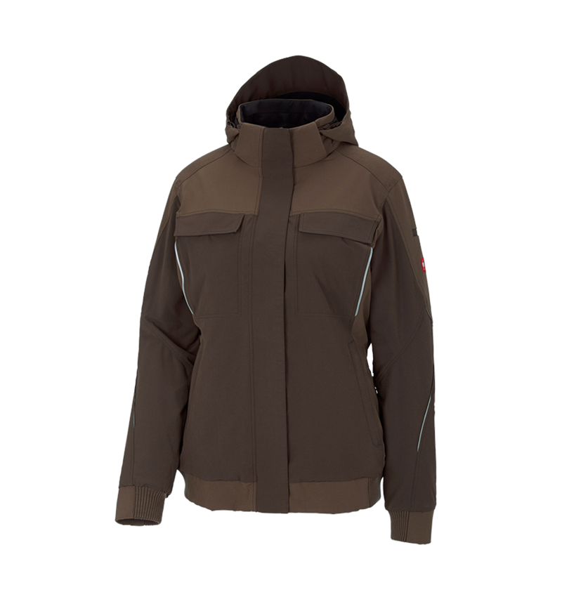 Winter Funktions Jacke e.s.dynashield, Damen