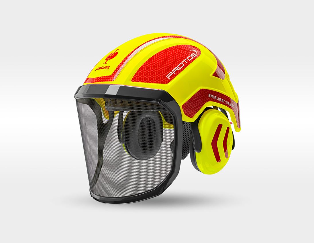 SET: Forsthelm Protos + STRAUSSbox 340 midi