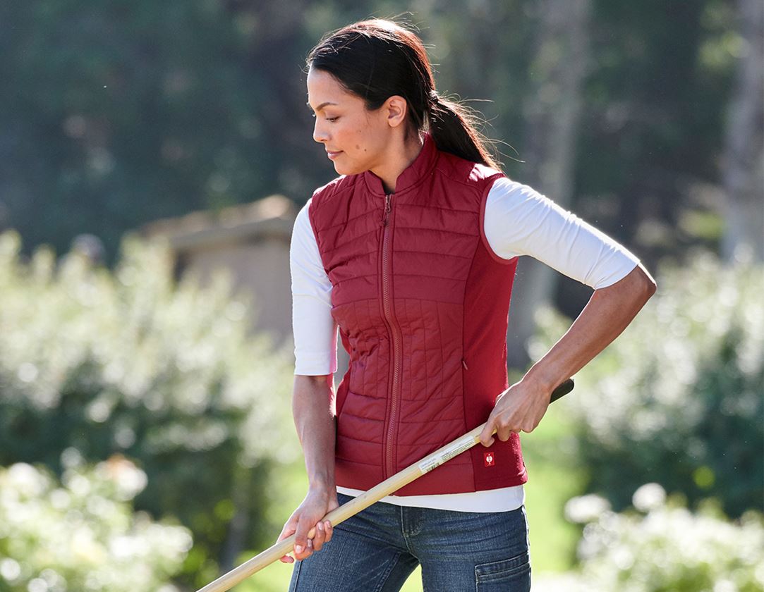 e.s. Funktions Steppweste thermo stretch, Damen