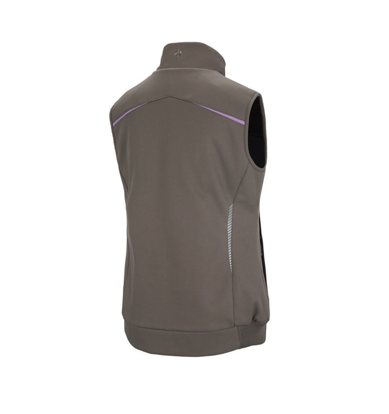Winter Softshellweste e.s.motion 2020, Damen