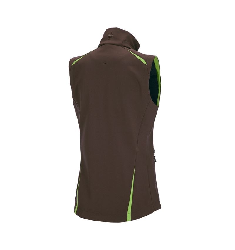Softshell Weste e.s.motion 2020, Damen
