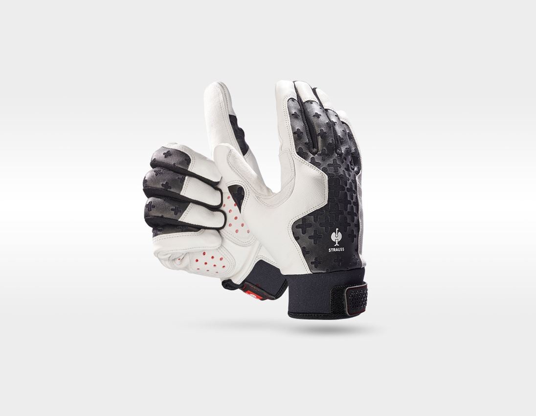 SET: Forsthelm Protos + STRAUSSbox 340 midi