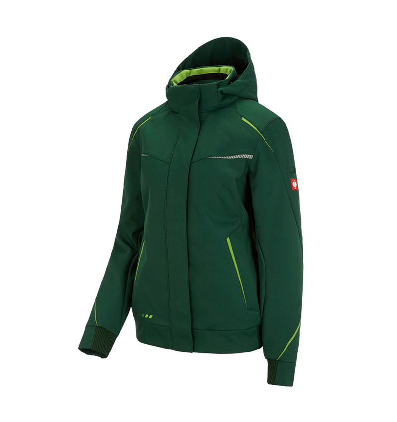 Winter Softshelljacke e.s.motion 2020, Damen