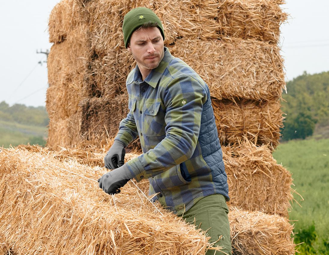 Allseason Karohemd e.s.iconic