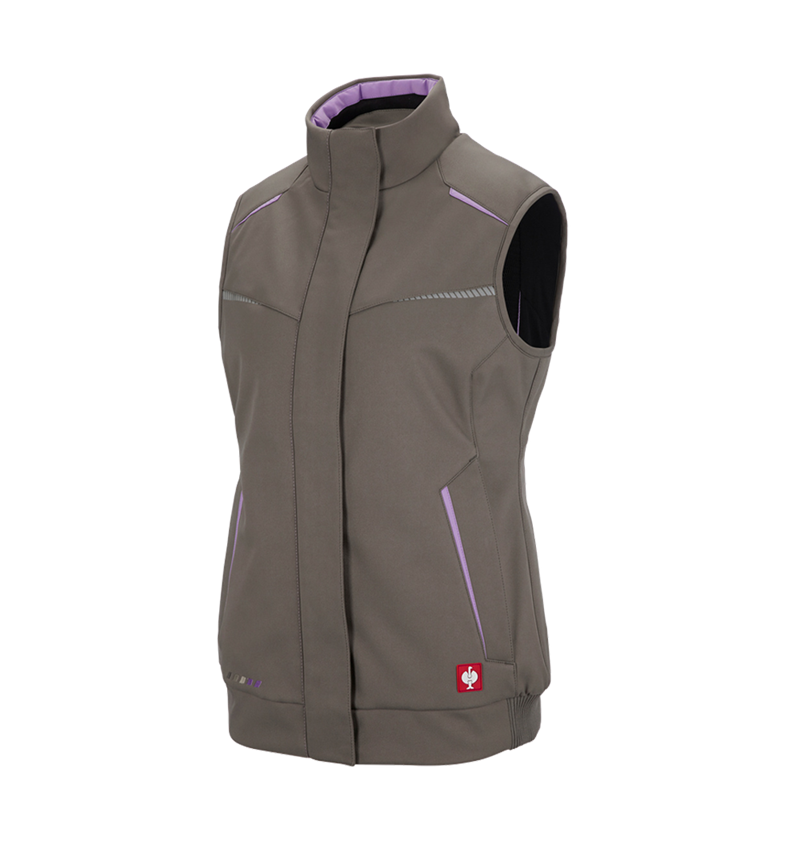 Winter Softshellweste e.s.motion 2020, Damen