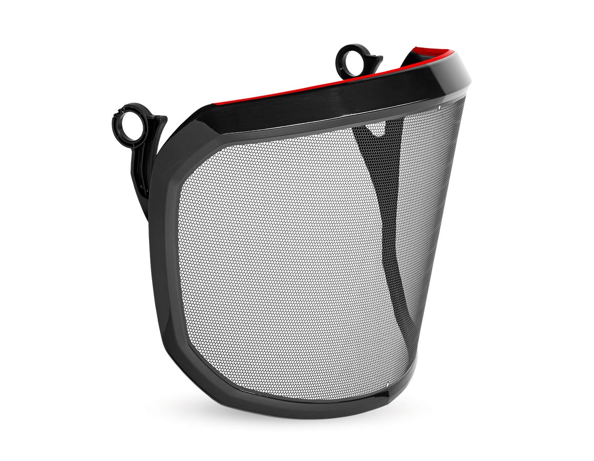 e.s. Ätz-Metall Visier F39 Protos®