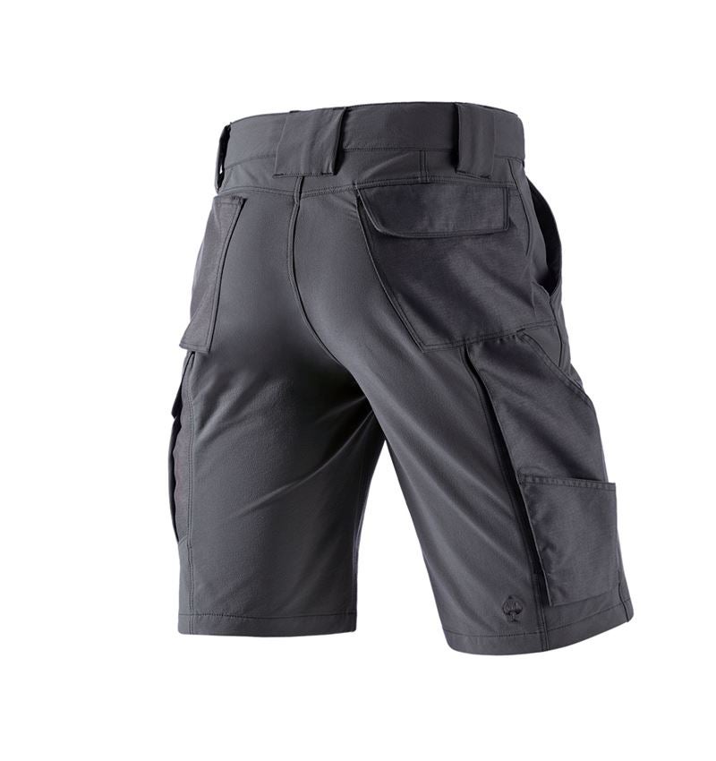 Funktions Short e.s.dynashield solid