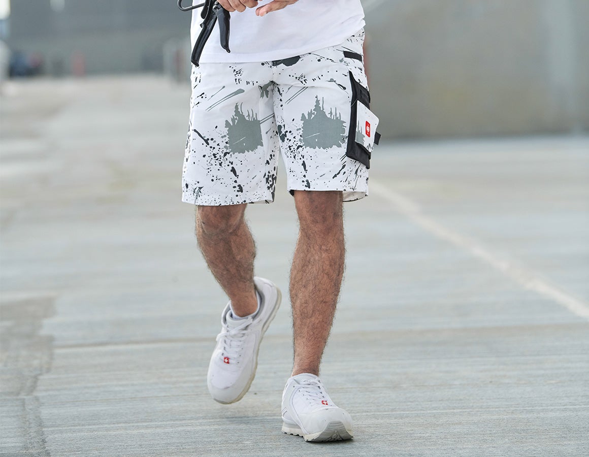 e.s. Shorts Painter