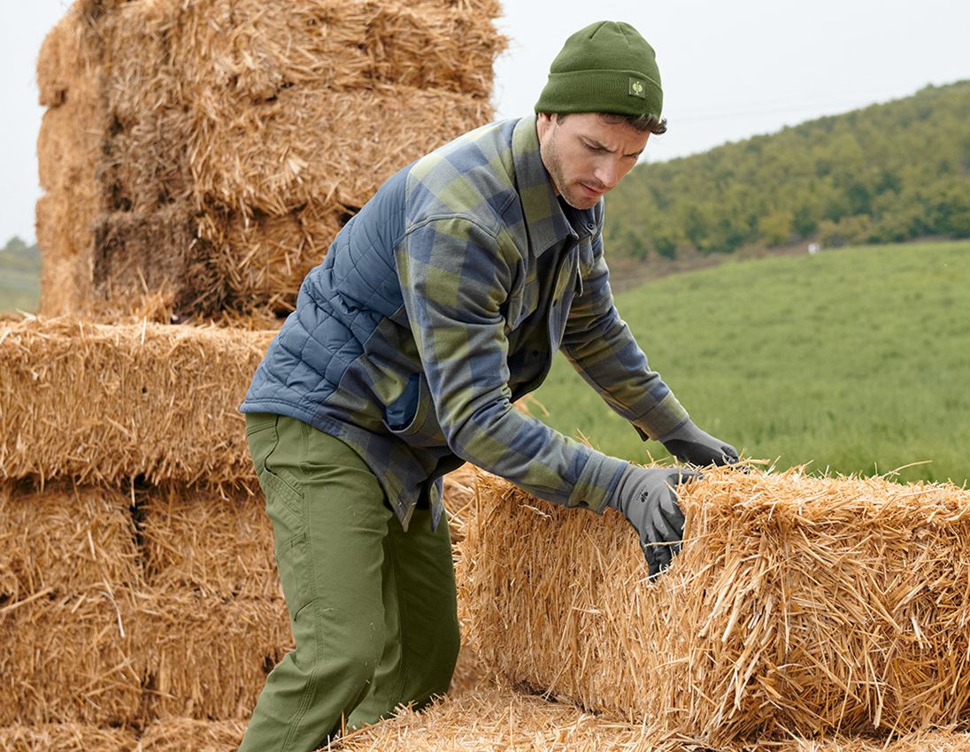 Allseason Karohemd e.s.iconic