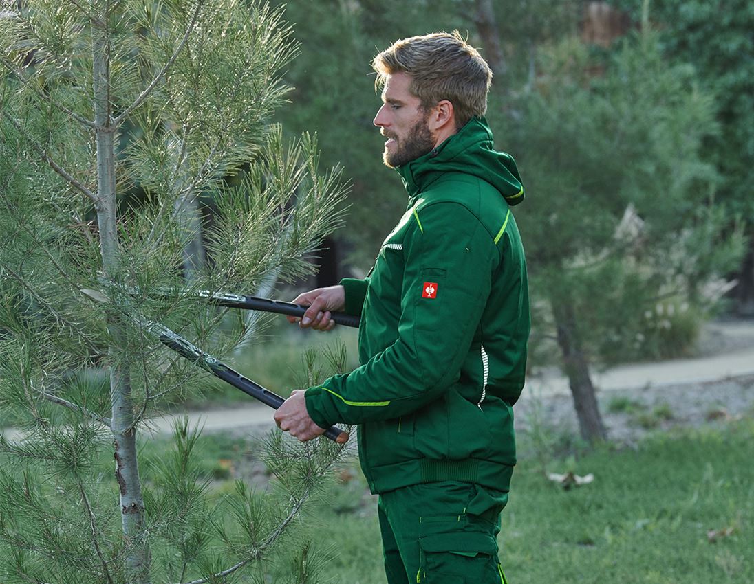 Winter Softshelljacke e.s.motion 2020, Herren