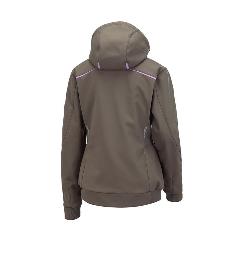 Winter Softshelljacke e.s.motion 2020, Damen