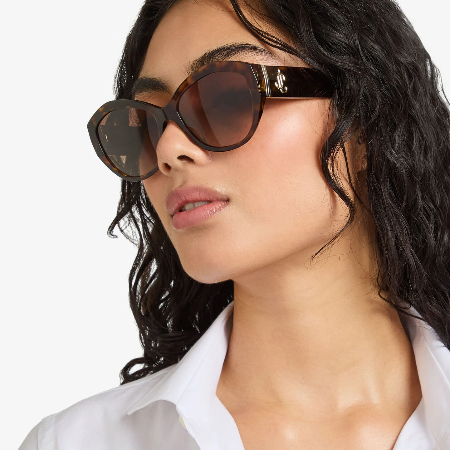 Anahi Brown Havana Butterfly Frame Sunglasses