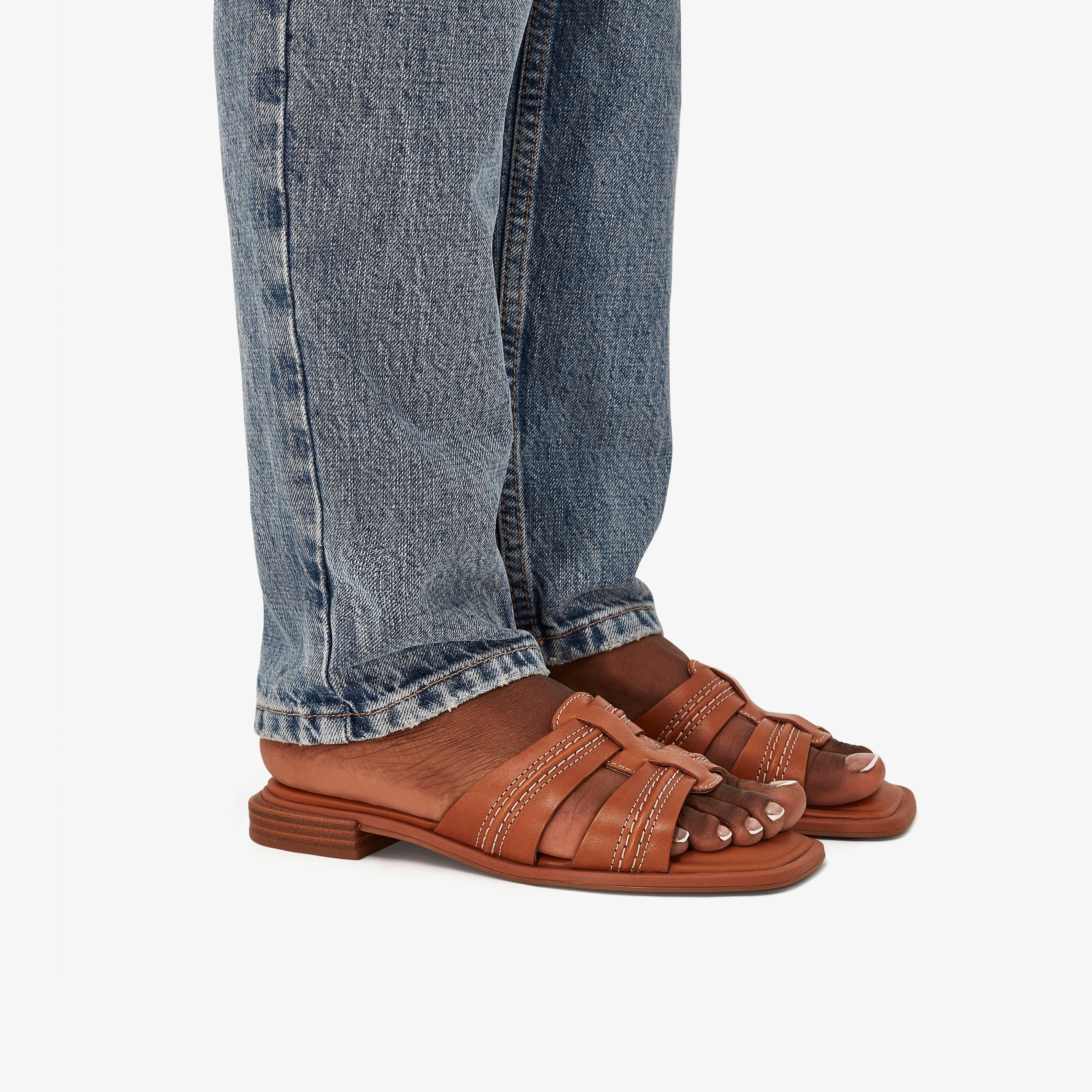 Ariany Mule