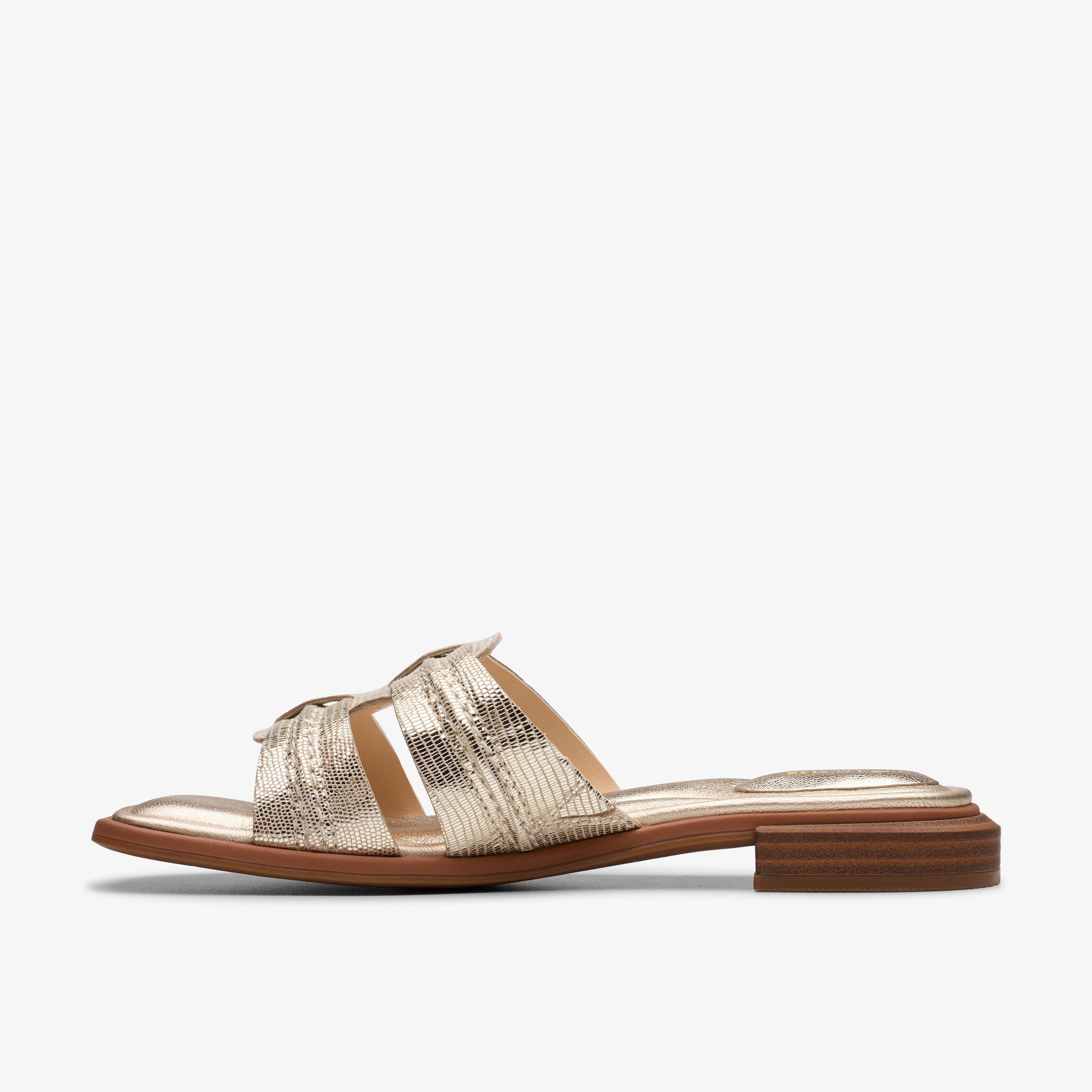 Ariany Mule