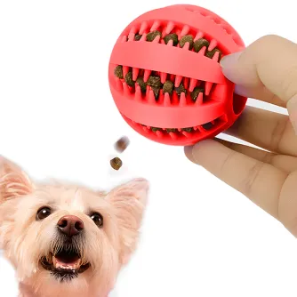 Interactive Toy Ball
