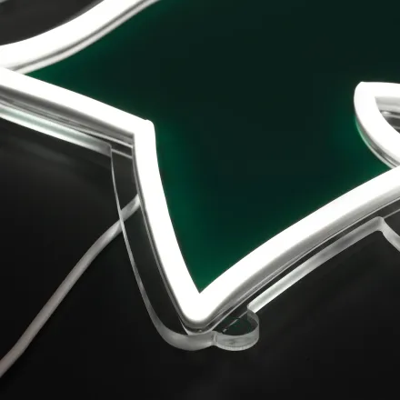 Michigan State Neon Sign