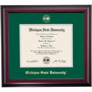 Michigan State School Color Traditional Diploma Frame