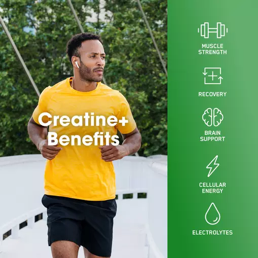 Creatine [+]